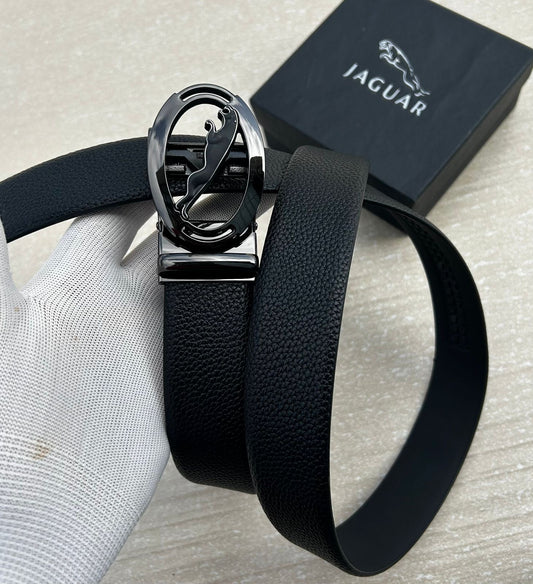 Jaguar belts
