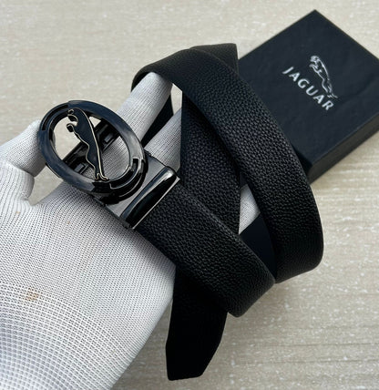 Jaguar belts