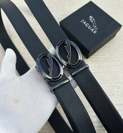 Jaguar belts